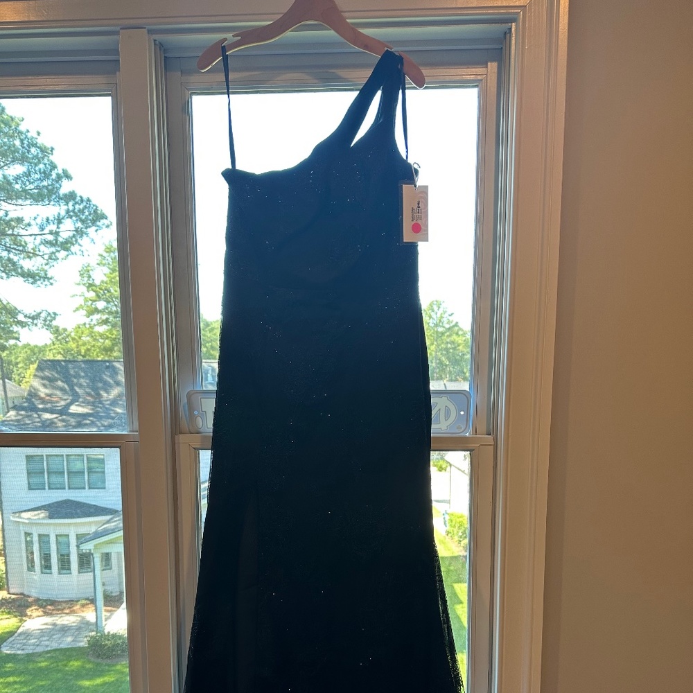 Hayley Paige Black Caviar Dress